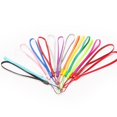 thumbnail image 2 of 20 Pcs Sangles de Lanière Colorées pour Clés USB Clés Porte-Clés Badges d'Identité Couleur Aléatoire, 2 of 9