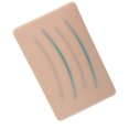 thumbnail image 1 of Modèle de Coussinet d'Entraînement en Silicone pour Étudiant, 1 of 8