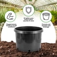 thumbnail image 3 of Pro Cal 10 Gallon Premium Nursery Black Plastic Planter Garden Grow Pots, 5 Pack, 3 of 7