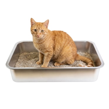 One Paw, Stainless Steel Cat Litter Box, Large, 19.5” x 13.5” x 4", 17L, for Cats