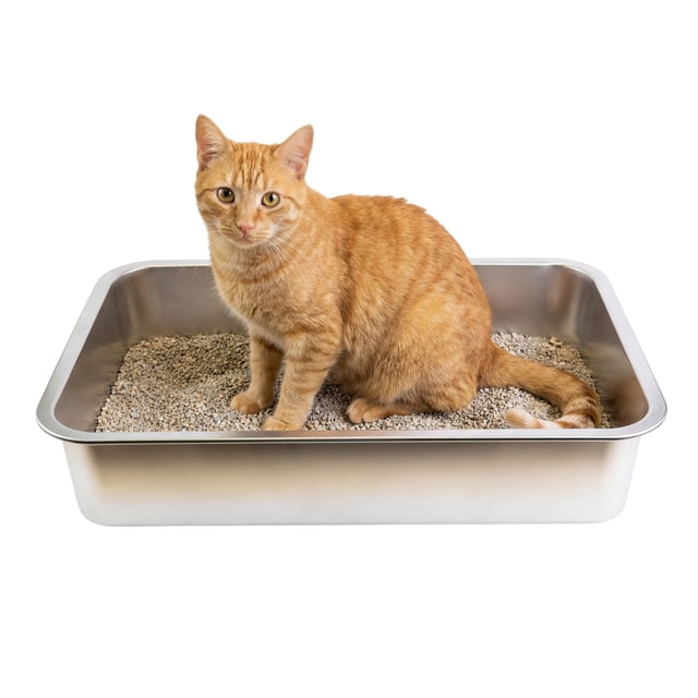One Paw Stainless Steel Cat Litter Box large 19.5 by 13.5 by 4 inches in silver with grey cat litter and an orange tabby cat sitting inside the anti-slip bottom litter pan on a white background, suitable for comfortable cat use