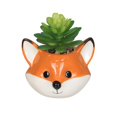 thumbnail image 1 of Plante succulente artificielle dans une jardinière renard, 1 of 4