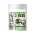 thumbnail image 2 of Assorted Stone Flower Pot Fish Tank Decoration Colorful Stone Plant Flower Pot Decorative Stone Succulent Paving Stone, 2 of 6