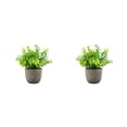 thumbnail image 1 of Redempat Plastic Easy To Clean Artificial Succulent Realistic Appearance Long-lasting Durability Eco-friendly blue babysbreath 2Set, 1 of 6