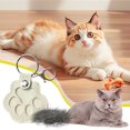 thumbnail image 1 of Dog Storage Keychain Cute Leather Paw Keychain Pet Hair Keepsake Keyring Unique Memorial Collection Keychain Pet Memorial Gifts For Bag Purse Paw Key, 1 of 5