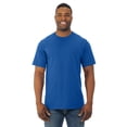 thumbnail image 1 of Fruit Of The Loom T-Shirt à Col Rond à Manches Courtes en Coton HD pour Hommes, 5TG, Royal, 1 of 3