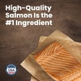 thumbnail image 4 of BLUE Life Protection Formula Adult Salmon & Brown Rice Dry Dog Food (Chicken-free), 4 of 12