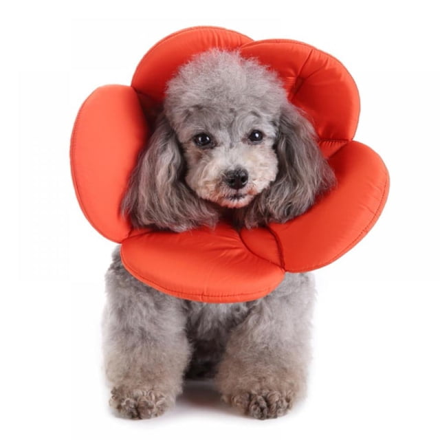 Collier Conique de Récupération pour Animaux, Collier Électronique pour Chats et Chiens, Fleur, Éponge en Dacron Souple, Collier Protecteur