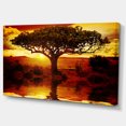thumbnail image 1 of Designart - Lonely Tree in African Sunset - Oversized African Landscape Canvas Art, 1 of 2
