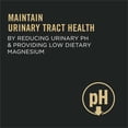 thumbnail image 4 of Purina Pro Plan Urinary Tract Health Chicken & Rice Formula, Dry Cat Food, 4 of 8