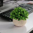 thumbnail image 3 of Artificial Plant Potted Lifelike Round Fake Greenery Plant Faux Plant Decoration, 3 of 10