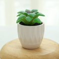 thumbnail image 2 of Coofit Mini Potted Succulent Lifelike - Artificial Plant Faux Succulent in Pot for Home, 2 of 4