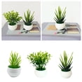 thumbnail image 2 of SIfdSeng Get it Fast 3 Mini Indoor Green Small Bonsai Potted Potted Green Home Decoration, 2 of 9