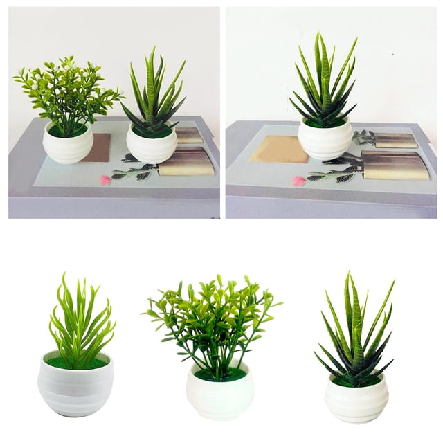 Desktop Ornament 3 Mini Indoor Green Small Bonsai Potted Green Home Decoration for Desktop Display