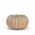 thumbnail image 1 of Abbott Petit Pot Bas en Forme de Citrouille – Pot en Ciment avec Fini Orange Rustique, 5,5 Po L – Jardinière à Thème Automnal pour Fleurs d'Automne Ou Déco Saisonnière, 1 of 5