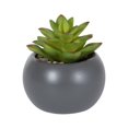 thumbnail image 1 of hometrends Kelvin Faux Succulent in Grey Pot, 1 of 5