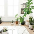 thumbnail image 4 of 10pcs Garden Plant Saucer Drip Tray Round Pot Base Clear Snack Container PET, 4 of 6