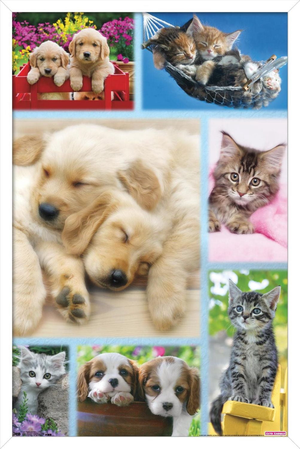 Keith Kimberlin - Puppies and Kittens Collage Wall Poster, 22.375" x 34"