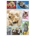 thumbnail image 1 of Keith Kimberlin - Collage de chiots et de chatons, 1 of 4