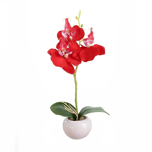 TIELUTT Bonsai Indoor Orchid Bonsai Fall Flowers Flowers Teal Flowers Jasmine Flowers Flowers Outdoor