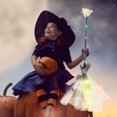 thumbnail image 1 of Cameland Jouet de Sorcière d'Halloween Rudolph Balayette Academy, 1 of 6