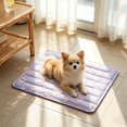 thumbnail image 5 of Outdor Ice Mat For Cats Self Gel Pad No Electricity Needed Floor Wear, 5 of 5