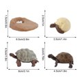 thumbnail image 3 of Plastic Animals Figures 4 Piece Insect Figure Animal Life Cycle Plastic Brood to Mature Period, 3 of 3