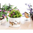 thumbnail image 4 of Colorful Birds On Wire Planter, 4 of 5
