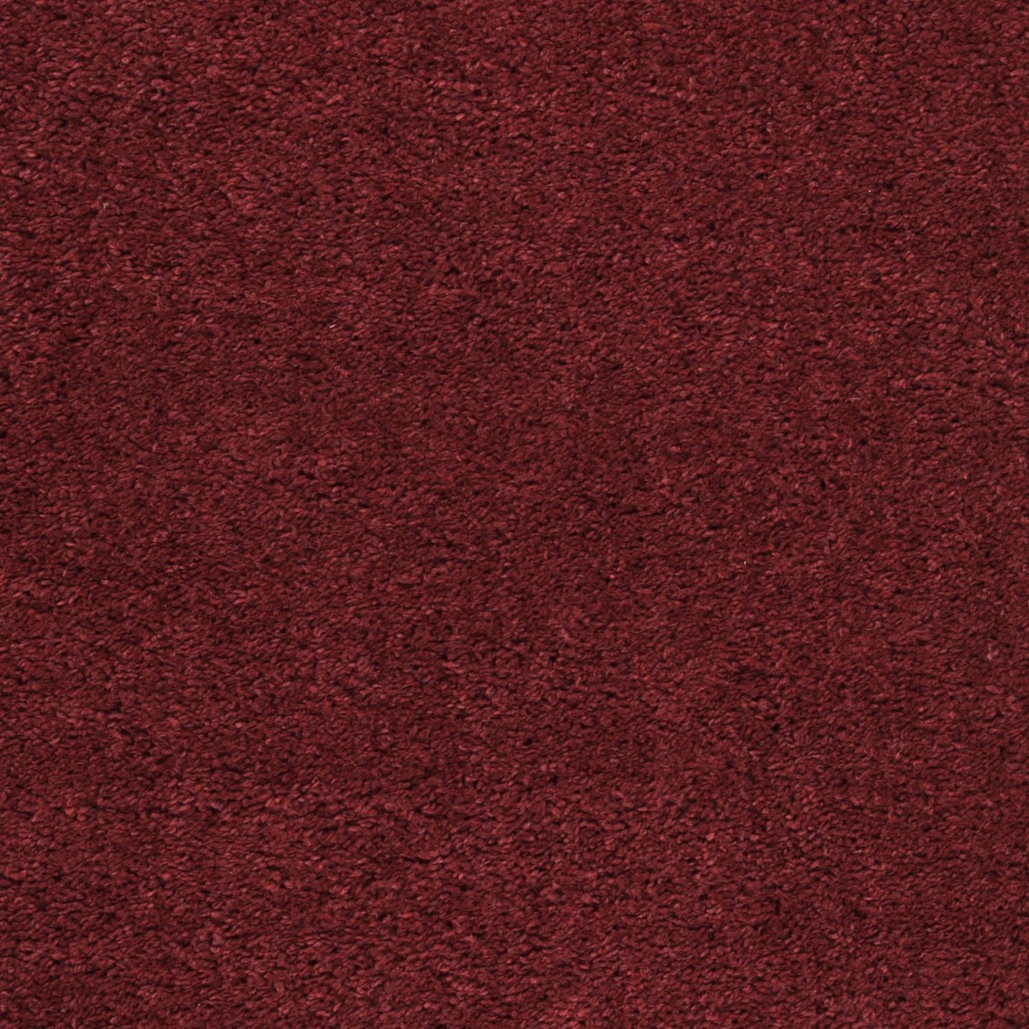 SAFAVIEH August Carlene Tapis Peluche Shag