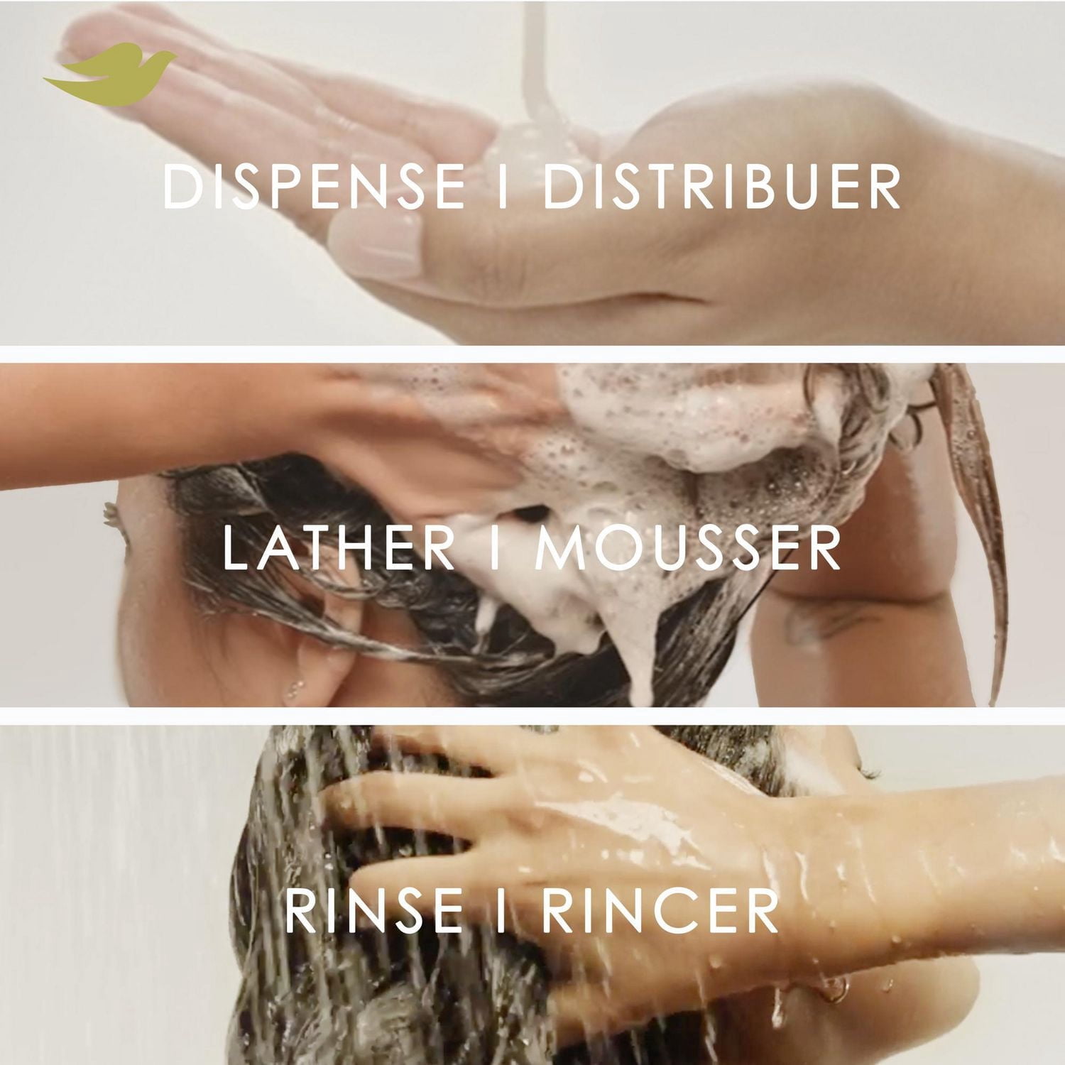 Dove Shampooing Protection Anti-Chute Soin des Protéines Bio + Sérum Lipidique, 530 ml