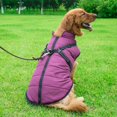 thumbnail image 3 of Pet Dog Jacket With Harness Windproof Winter Pet Dog Padded Coat Clothes, 3 of 6