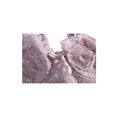 thumbnail image 3 of INSPIRE CHIC Women's Plus Size Full Coverage Padded Floral Underwired Bra, 3 of 6