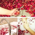 thumbnail image 3 of 100g Natural Dried Rose Petals Real Flower Dry Red Rose Petals, 3 of 5