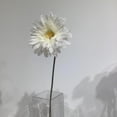 thumbnail image 2 of GERBERA BLANC, 2 of 3
