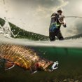 thumbnail image 2 of Bright Colors Excellent Visual Effect Sea Fishing Lure, Fish Lure Crab, Lake For Pool Wild Fishing Sea Fishing 2#, 2 of 8