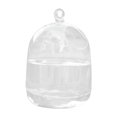 thumbnail image 2 of Vase Fishbowl Transparent Hanging Glass Creative Decor Fish Tank for Living Room, 2 of 5