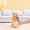 Grey, variant on SuoKom Pet Knotting Comb, 2 Sided Dematting Comb Grooming Tool for Cats Dogs, Removing Knots Slicker Grooming Brush, Suitable for Dogs with Medium to Long Hair