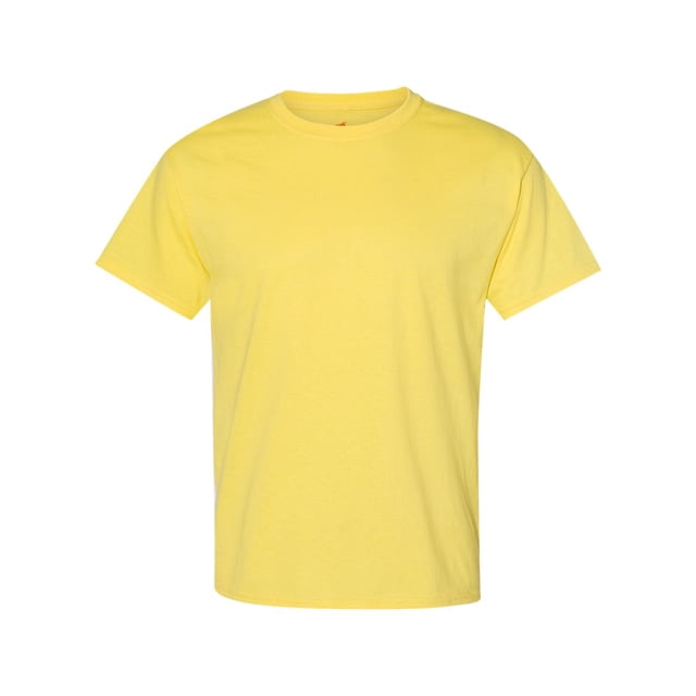 Hanes Men's Authentic-T T-Shirt