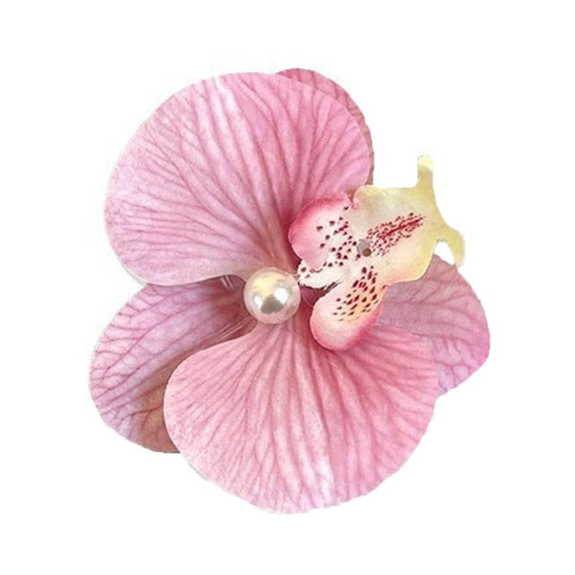 Phalaenopsis Épingle à Cheveux Orchidée 2025 Nouveau E6P4
