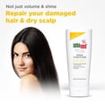 thumbnail image 3 of SebaMed Revitalisant Réparateur pour Cheveux / pH 5,5 I 88 % « Excellent Soin » Résultats / Répare les Cheveux Secs et Abîmés et le Cuir Chevelu / Formule Hydratante Ajoute Brillance et Volume Sans Parfum, 200 Millilitres, 3 of 5