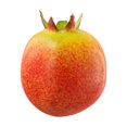 thumbnail image 3 of MYG Artificial Fruits Simulated Plastic Fruit Model Decoration For Home Kitchen Tabletop Decor Kids Toy Orange Peach Pear Watermelon, 3 of 10