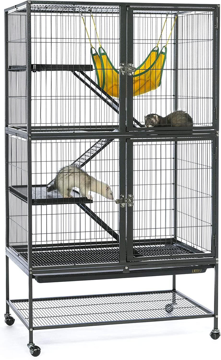 Prevue Feisty Ferret Maison avec support