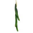 thumbnail image 1 of MesaSe Artificial Fruit Foam Vegetable Corn Pepper Garlic Hanging Photo Prop Home Decor, 1 of 8
