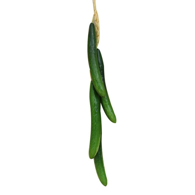 MesaSe Artificial Fruit Foam Vegetable Corn Pepper Garlic Hanging Photo Prop Home Decor