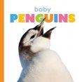 thumbnail image 2 of Baby Penguins (Démarrage), 2 of 2