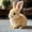 brown, variant on JUNWELLBunby - My Realistic Bunny Toy Bunbi Realistic Bunny Realistic Bunny That Moves Jumping Twitching and Ears Handmade Interactive Fun (Pink)
