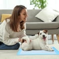 thumbnail image 5 of Fesfesfes Absorbent Pee Pad 13*17.7in Disposable Pet Diaper Mat Super Absorbent Leak-Proof Bottom for Cages Litter Box Non-Odor Disposable Pad for Small Pets Daily Use, 5 of 5