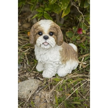 Hi- Line Gift 87762-BR Shih Tzu Statue de Chien Brun/blanc Assis