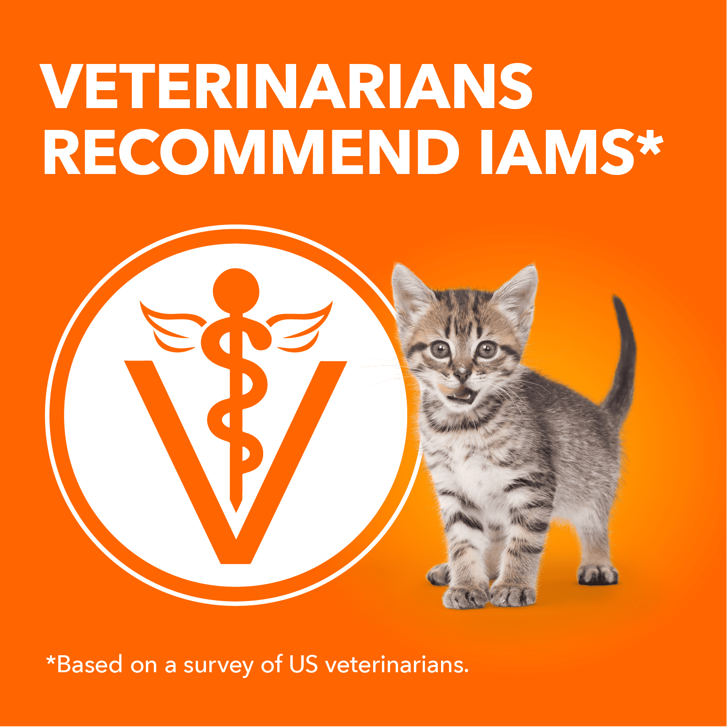 Nourriture humide sans céréales pour chatons IAMS PERFECT PORTIONS Healthy Kitten Pâté recette au poulet