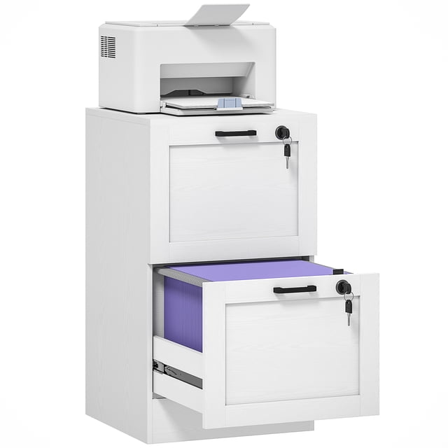 HOMCOM Office File Cabinet with 2 Drawers, Vertical Filing Cabinet, White